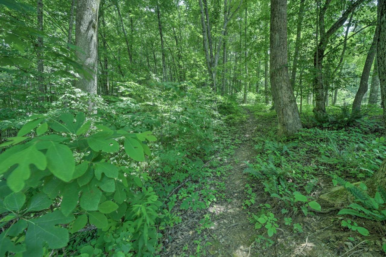 Historic Cabin Grill And Hiking Trail Access! Bryson City Luaran gambar